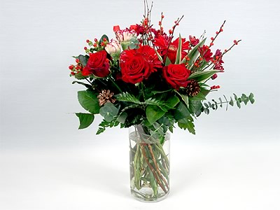 Festive Cheer (Member Special Offer)