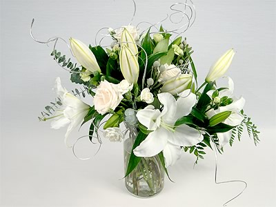 Fairy Wishes ! (Member Offer).