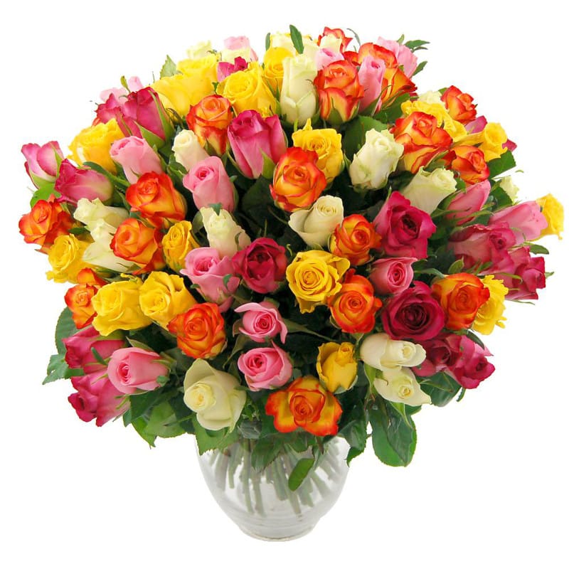 100 Rainbow Roses half price special offer on subscriptions.
