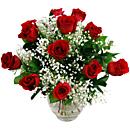 12 Luxury Red Roses