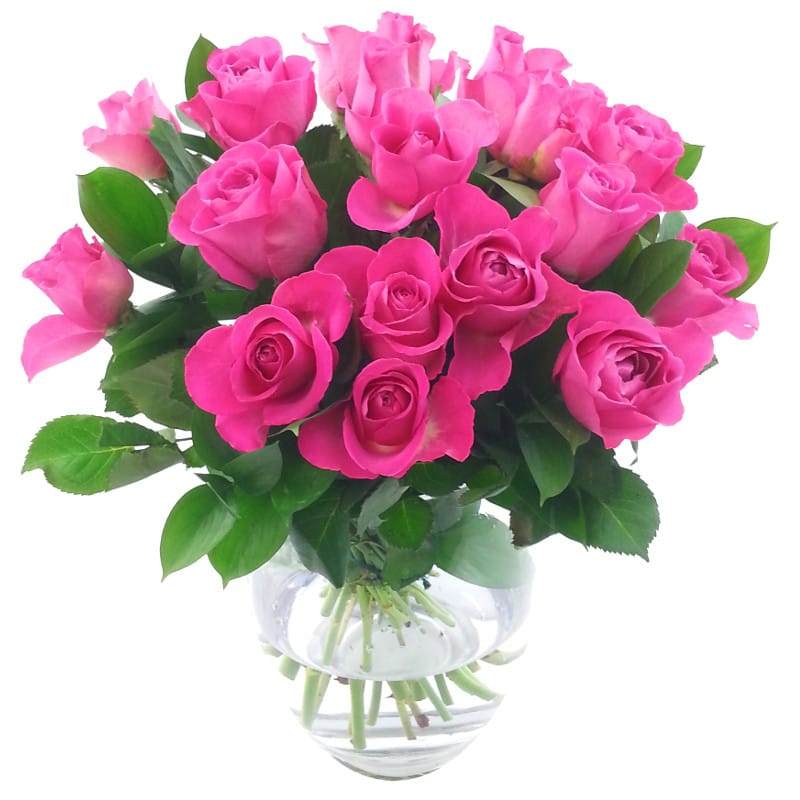 Picture of 20 Pink Roses Bouquet