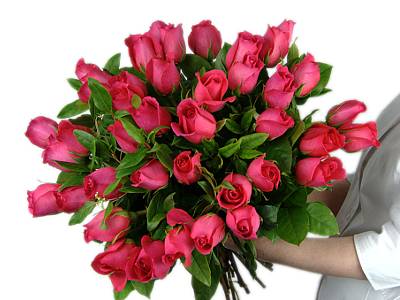 30 Pink Roses