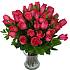 Pink Roses is an arrangement that comprises of Thirty stems of the finest grade fresh Pink Roses.