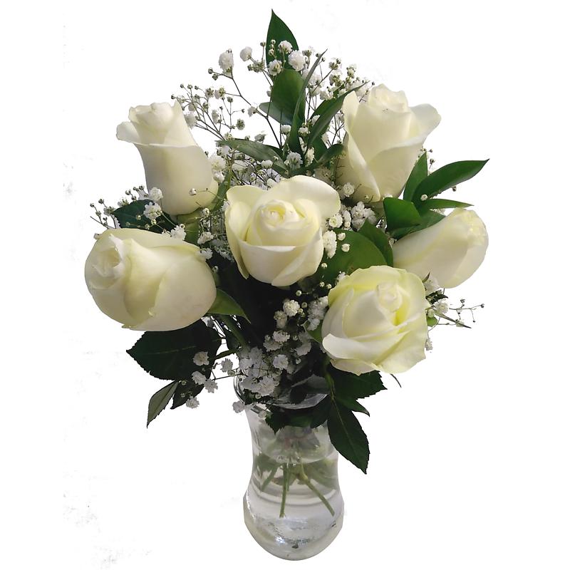 Picture of 6 White Roses Bouquet