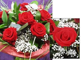 Dozen Roses