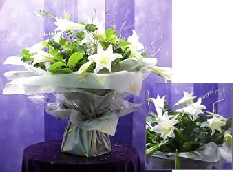 Longi Lilies