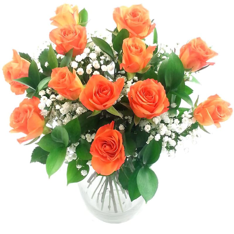 Picture of Dozen Orange Roses