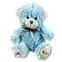 The cuddly velvety soft blue teddy bear. The cuddly velvety soft blue teddy bear.