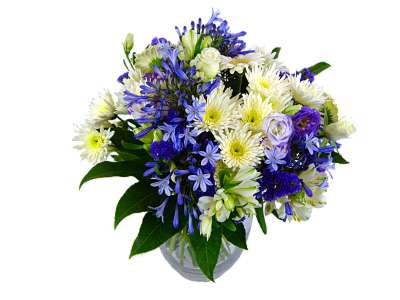 Baby Boy Flowers