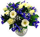Baby Boy Flowers with PiggyBankKids