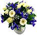 Shades of blue iris and trachelium mixed with white chrysanthemums make a perfect welcome for the new baby boy. Shades of blue iris and trachelium mixed with white chrysanthemums make a perfect welcome for the new baby boy.