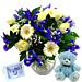 Shades of blue iris and trachelium mixed with white chrysanthemums make a perfect welcome for the new baby boy. Shades of blue iris and trachelium mixed with white chrysanthemums make a perfect welcome for the new baby boy.