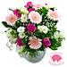Shades of pink carnations, alstroemeria and delianne make a perfect welcome for the new baby girl. Shades of pink carnations, alstroemeria and delianne make a perfect welcome for the new baby girl.
