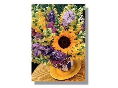 Birthday Greetings