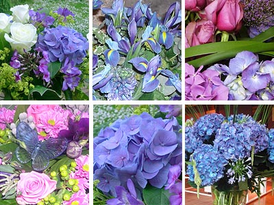 Picture of Blue Flower Collection