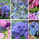 Blue Flower Collection
