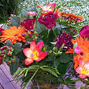 hocas pocus roses
roses
germini
gerbera
orange germini
orange gerbera
freesia
scented freesia
red freesia
hypericum
red berries
red scented freesia
