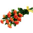 Orange Carnations