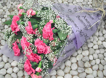 Carnations Gift