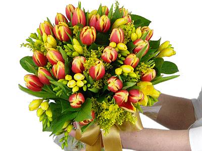 Tulip and Freesia Bouquet