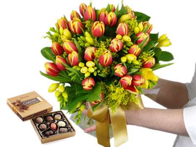 Clare Florist Free Chocolates and 5% off - Tulip and Freesia