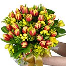 Tulip and Freesia Bouquet