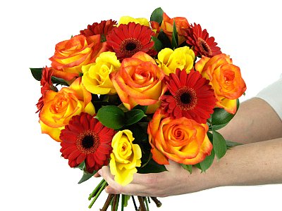 Christmas Roses