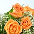 Twelve Orange Roses meaning Desire. Perfectly presented amongst a bed of gypsophila. Twelve Orange Roses meaning Desire. Perfectly presented amongst a bed of gypsophila.