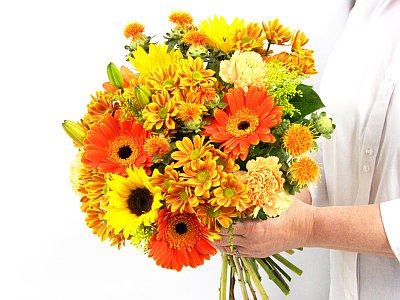 Vibrant Orange Flowers Vibrant Orange Flowers