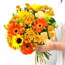 Vibrant Orange Flowers