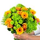 green blooms
shamrock
shamrock chrysanths
white germini
germini
white lilies 
lilies
white roses
roses
hypericum 
red berries
