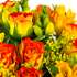 Close up view of our Rose and Freesia hand-tied bouquet, clearly showing Germini, freesia and gypsophila.