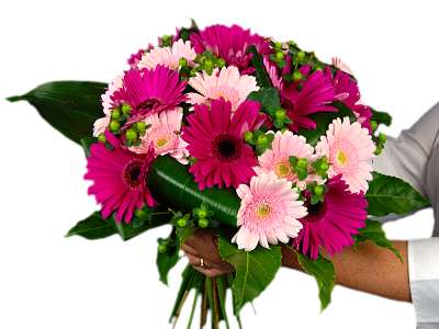Gerbera Gem Bouquet