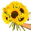 A view of sun flowers, an arrangement of fresh summer flowers available now for next-day delivery from Clare Florist