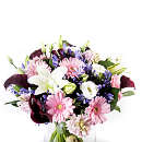 Summer Breeze; a fresh crisp contemporary arrangement of delightful summer flowers.  Comprising of; black calla lilies, crisp lilies, pink germini, blue agapanthus and white lisianthus.