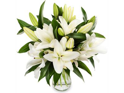 Classic Lilies half price special offer on subscriptions.