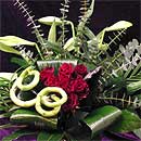 roses
black roses
black baccarra
rlack baccarra roses
bamboo
curly bamboo
longi lilies
white lilies
white longi lilies
baby blue
aspidistra leaves