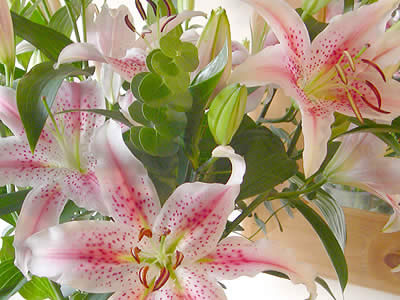 Send Flowers on Send Flowers To The Uk And Beyond From Our Uk Website
