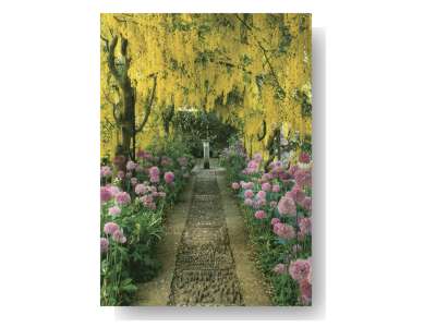 Country Garden