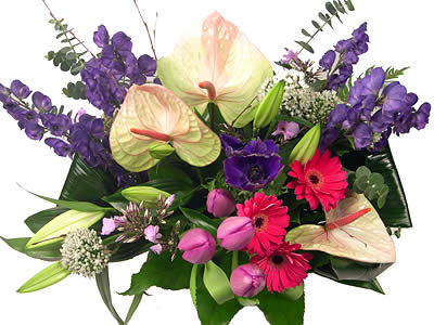Purple Passion