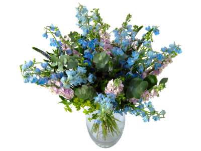 Delphinium Symphony