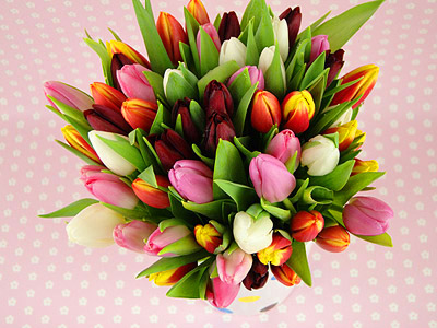 Seasonal Flowers