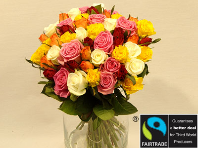 Fairtrade Roses