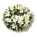 Lily Wreath – fresh flowers for UK delivery by post – bouquets and arrangements from Clare Florist