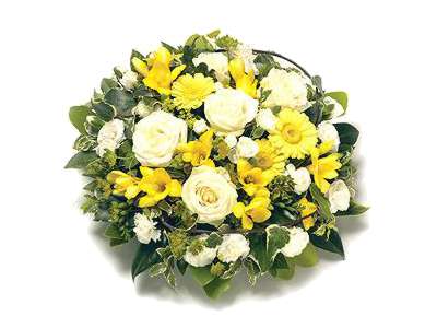 Yellow and White Posy half price special offer on subscriptions.