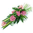 Modern Exotic – fresh flowers for UK delivery by post – bouquets and arrangements from Clare Florist