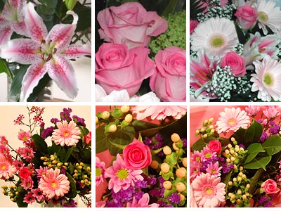 Pink Flower Collection Pink Flower Collection