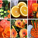 orange bouquet
orange roses
roses
orange lilies
lilies
germini
orange germini
gerbera
orange gerbera
carnations
orange carnation
hypericum
orange berries
protea
orange chrysanths
chrysanthys