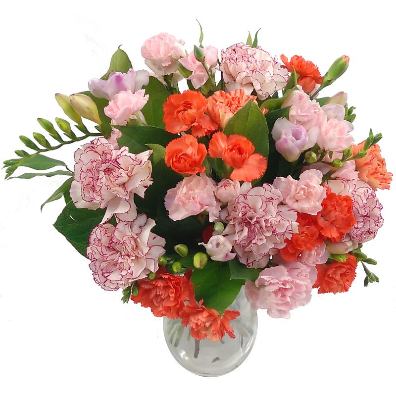 Picture of Freesia and Carnation