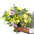 The Freesia and Lily Bouquet - The colour and scent of summer! Presented in a classy vase. The Freesia and Lily Bouquet - The colour and scent of summer! Presented in a classy vase.